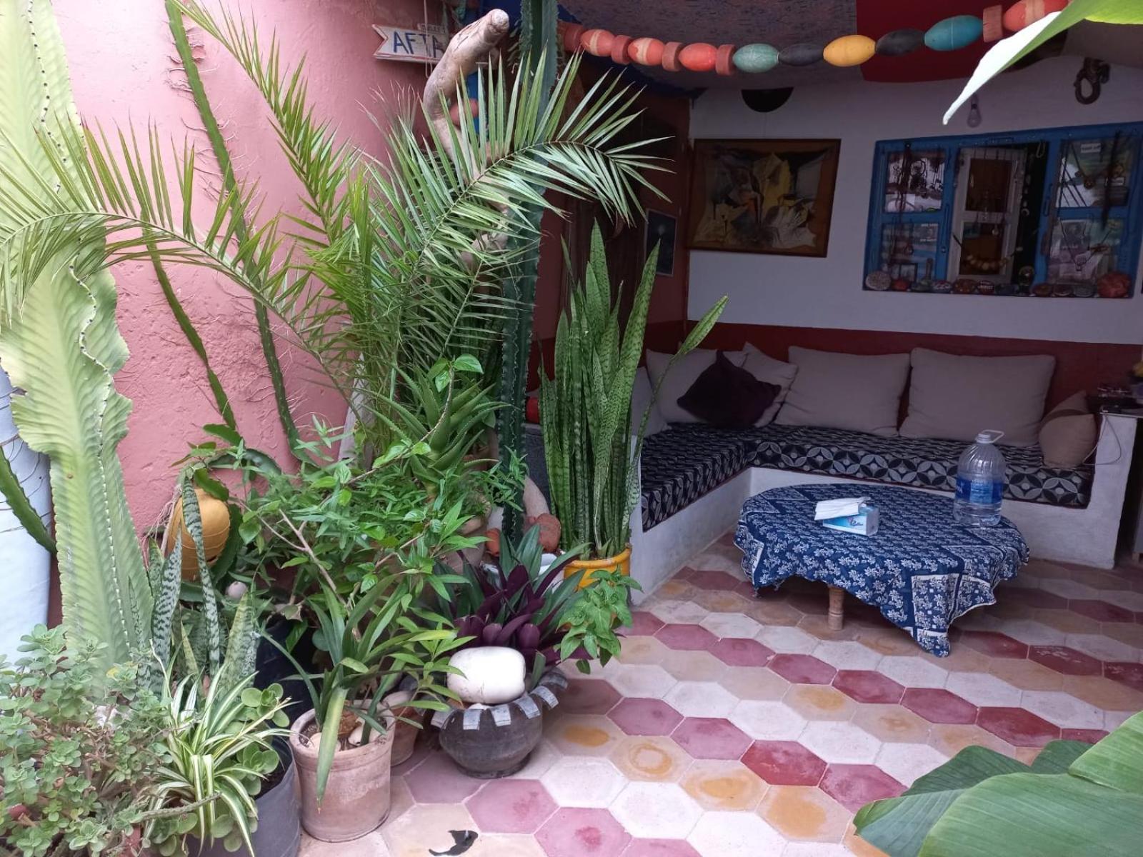 Kasba De L'Artiste Bed & Breakfast Mirleft Luaran gambar